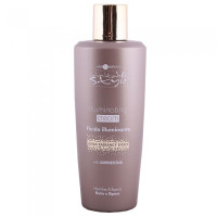 Hair Company Крем для блиску INIMITABLE STYLE 250мл