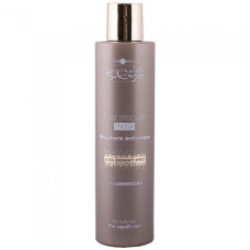 Hair Company Frizz Stopper Mask Розгладжуюча маска 200мл