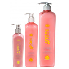 Angel Color Protect AMB-201-3 Шампунь для фарбованого волосся 1000мл