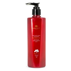 Angel Dancoly AO-02-1 Argan Oil Conditioner Кондиціонер миттєве відновлення з аргановою олією 800мл